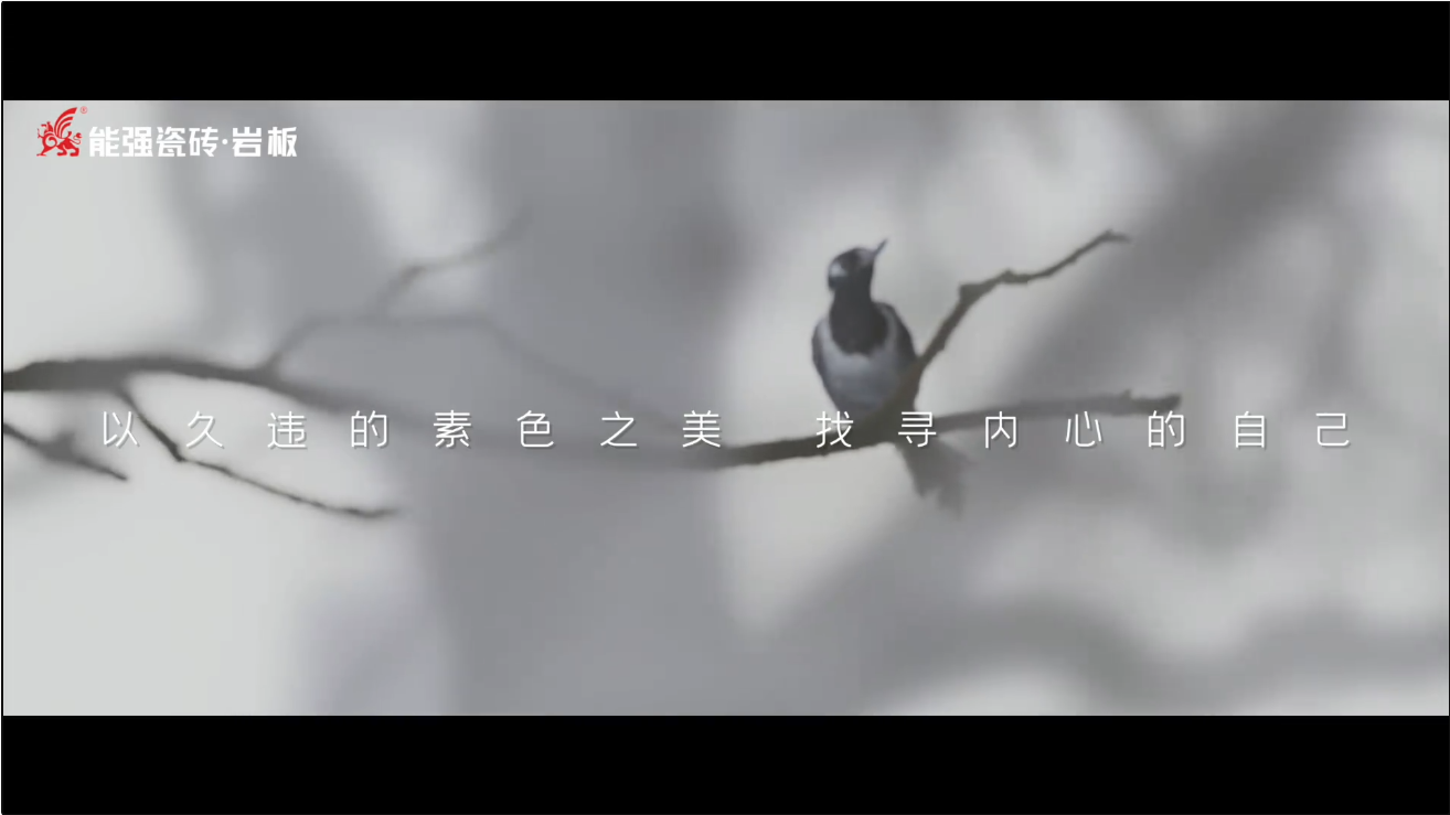 素巖系列 | 以素色之美，找尋內心的自己